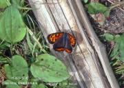 �x�j�V�W�~������