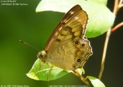 �q���L�}�_���q�J�Q�T�O�W�O