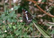 �C�`�����W�`���E������