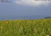 �L�A�Q�n�W�Q�T�Q