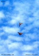 �L�A�Q�n�@�r����