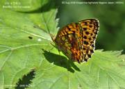 �R�q���E�����V�W�T�X