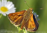 �R�L�}�_���Z�Z���W�U�T�U