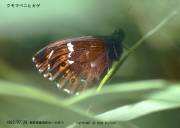 �N���}�x�j�q�J�Q�S