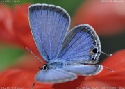 �N���}�_���\�e�c�V�W�~