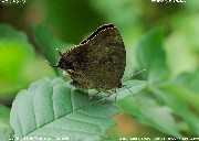 �����T�L�c�o��