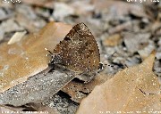 �����T�L�c�o��