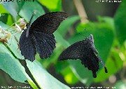 �i�K�T�L�A�Q�n�@�N���A�Q�n