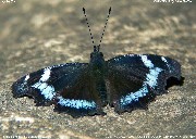 �����^�e�n