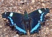 �����^�e�n