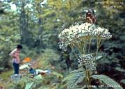 �T�J�n�`�`���E���R����