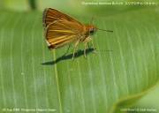 �X�W�O���`���o�l�Z�Z���W�O�W�P