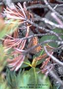 �^�J�l�q�J�Q�Q