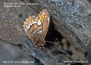 �^�J�l�q�J�Q�U