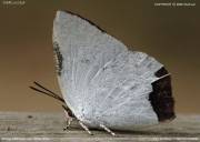 �E���M���V�W�~�O�O�P�U