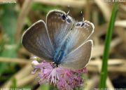 �E���i�~�V�W�~�O�V�Q�O