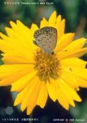 ���}�g�V�W�~