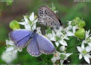 ���}�g�V�W�~