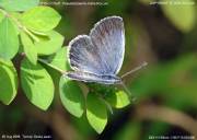 ���}�g�V�W�~