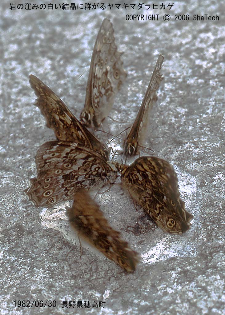 ���}�L�}�_���q�J�Q