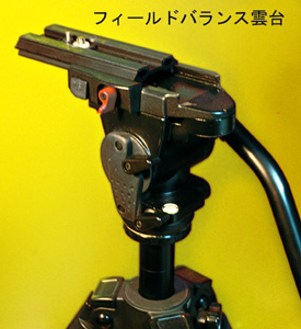 フィールドバランス
