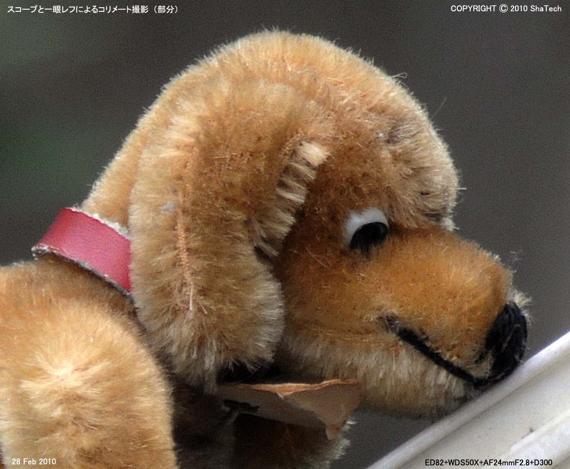 一眼デジスコで撮影したテスト画像の部分(ピクセル等倍)