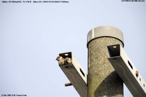 1000mm