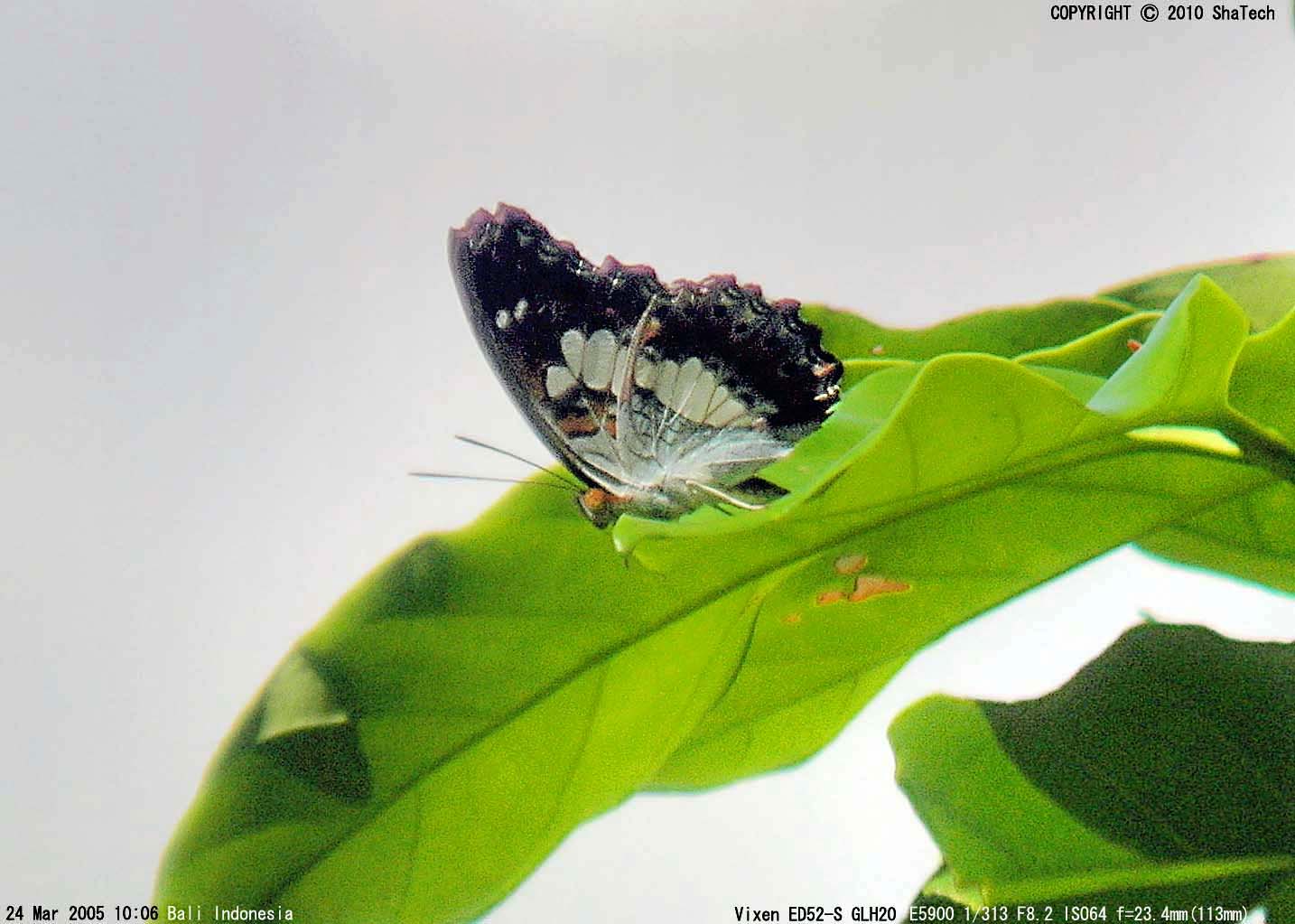 �G�r�C���C�`�����W�A�`���C���C�`�����W