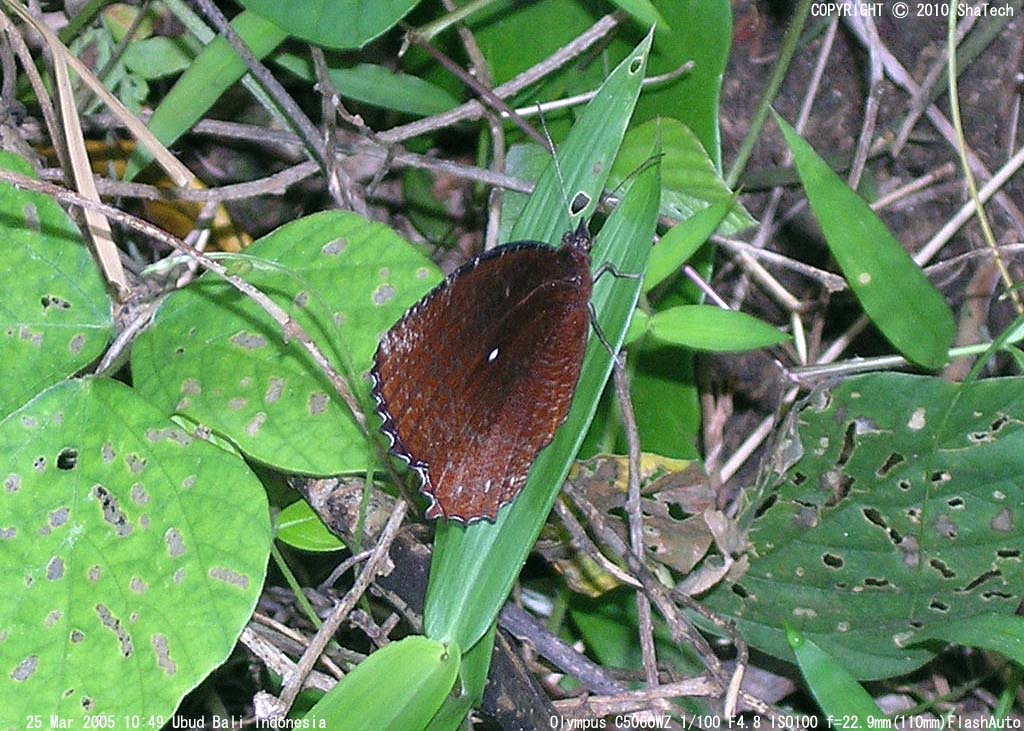 ���������W���m��