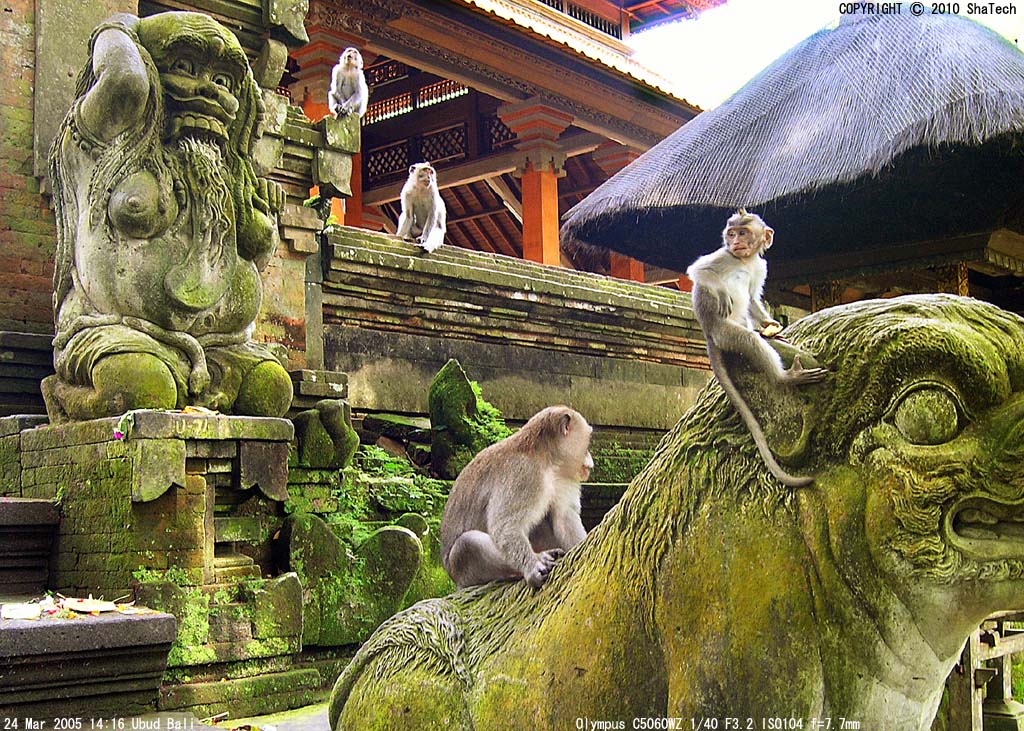 ���@�̐Α��ƃJ�j�N�C�U��