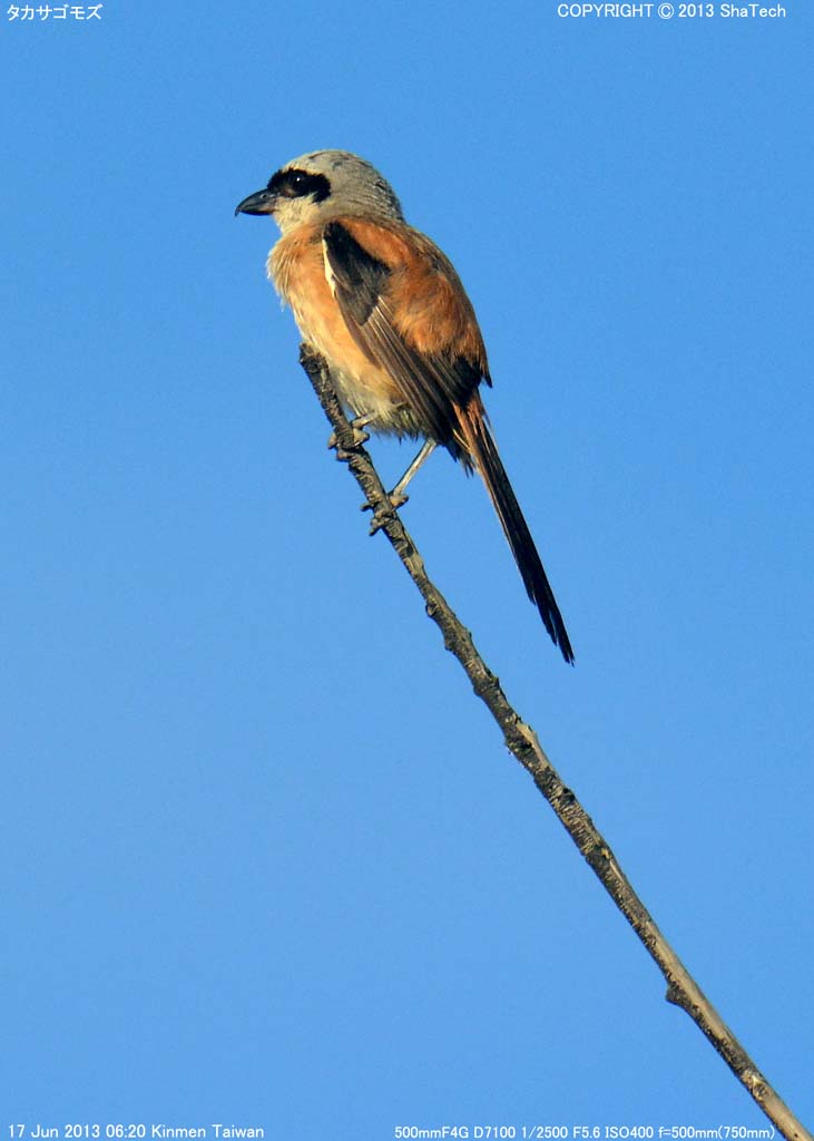 �^�J�T�S���Y