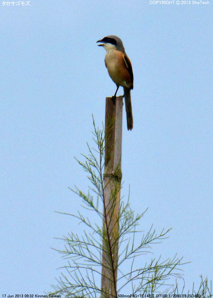 �^�J�T�S���Y