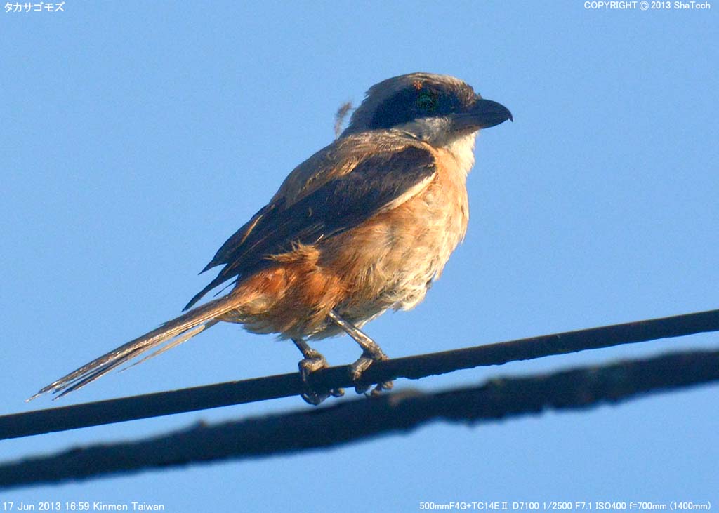 �^�J�T�S���Y