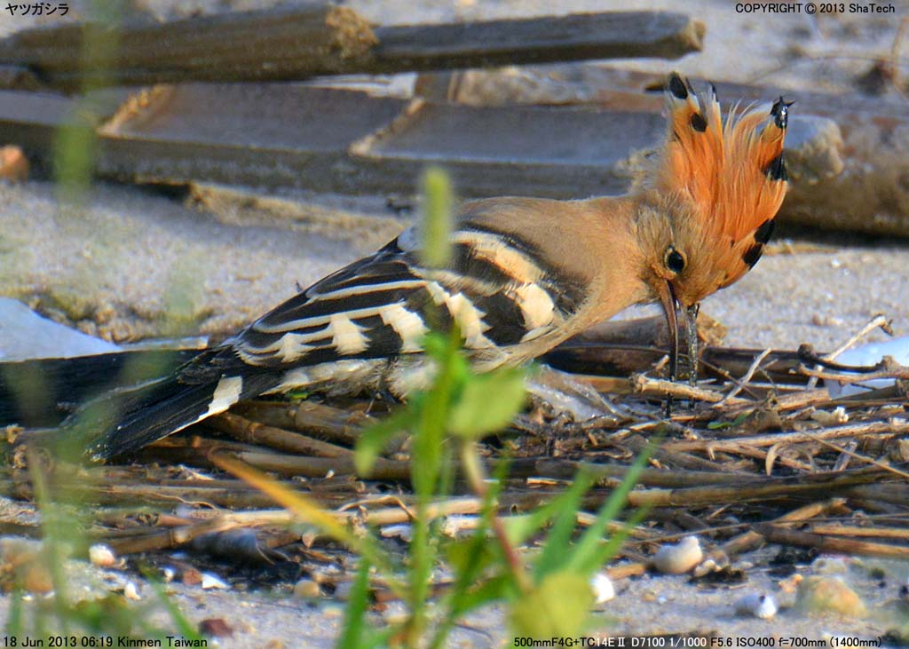 ���c�K�V��