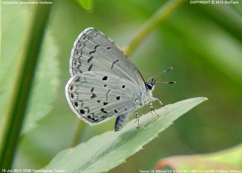 �z���V�������V�W�~