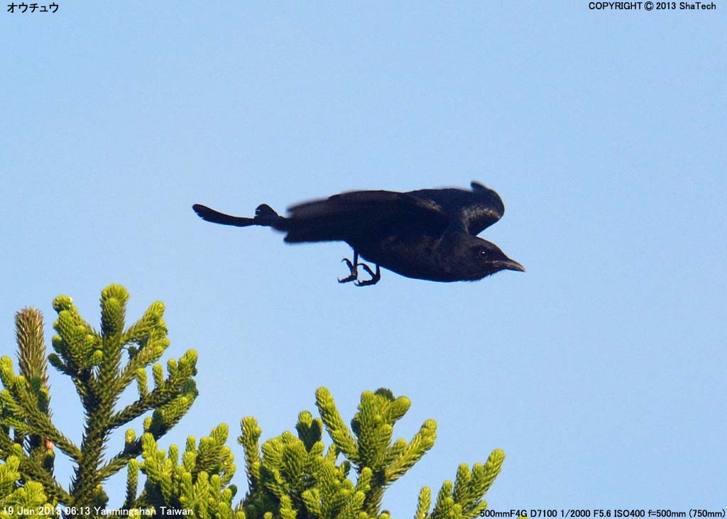 �I�E�`���E