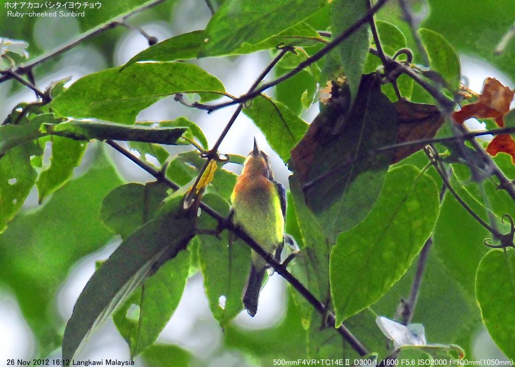 �z�I�A�J�R�o�V�^�C���E�`���E