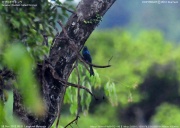 �J�U���I�E�`���E