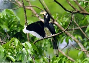 �L�^�J�T�T�M�T�C�`���E