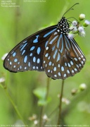 �R�����}�_��