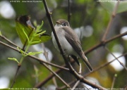 �R�T���r�^�L