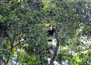 �I�I�T�C�`���E