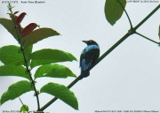 �����R�m�n�h��