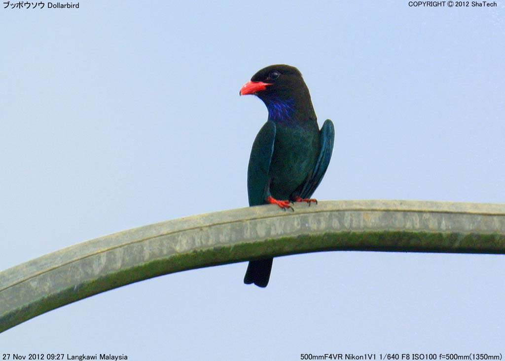 �u�b�|�E�\�E