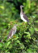 �A�J�K�V���T�M