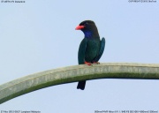 �u�b�|�E�\�E