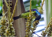 �`���m�h�R�o�V�^�C���E�`���E