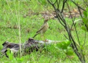 �q���}�~�W���^�q�o��