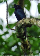 �J�U���I�E�`���E