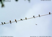 �I�I�R�V�A�J�c�o��